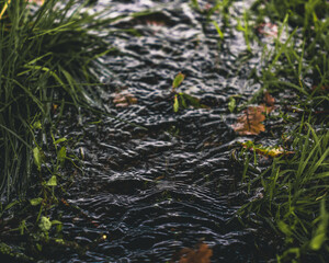 A stream running through the fields of Derwent Waters.