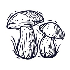 Monochrome element of boletus. Seasonal autumn vector illustration of mushroom for any kinds of design or vegan menu