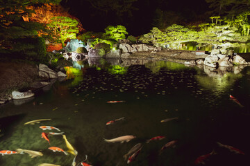 The Landscape of An Old Japanese Garden in Autumn or Fall at Night, Ritsurin Garden in Takamatsu City in Kagawa Prefecture in Japan, Nobody
