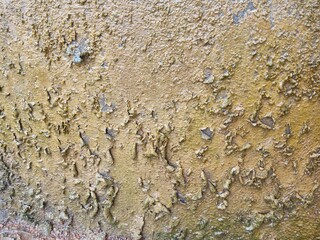 texture of mossy water stains on old concrete walls and caused the beauty of abstract art.
sanggau regency, west kalimantan - november 27, 2020