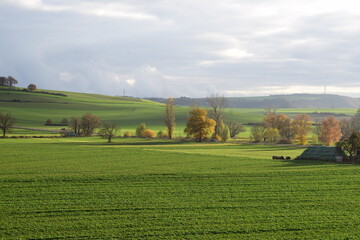 herbstlich grüne Eifel, Thürer Wiesen