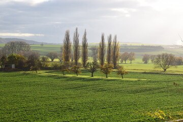 herbstlich grüne Eifel, Thürer Wiesen
