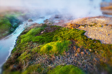 Island Geysir Strokkur