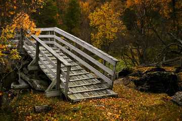 Fototapeta premium bridge