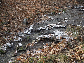 Creek running among the fallen leaves covered with hoarfrost. Autumn frosts.