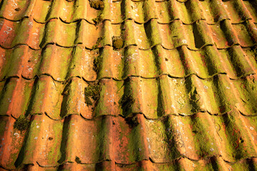 Rustic roof tiles with lichens and moss.