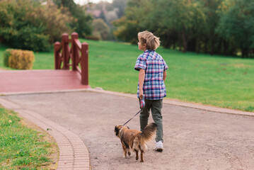 Cute boy playing and walking with his dog in a meadow.