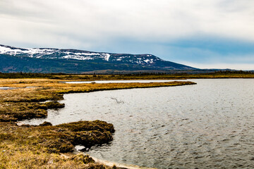Views along the trail to the pond. Gros Morne National Park, Newfoundland, Canada