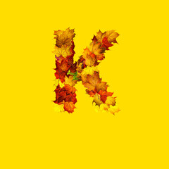 Colorful autumn leaves isolated on yellow background as letter K.