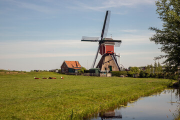 Fototapeta premium Old dutch windmill with blue sky