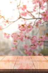 Naklejka na ściany i meble Wood table top on blur background of pink cherry blossom flower, japan flower, sakura