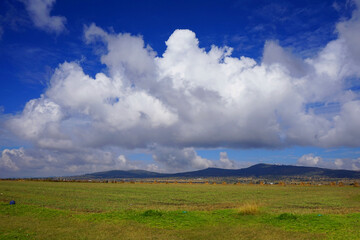 clouds over the field