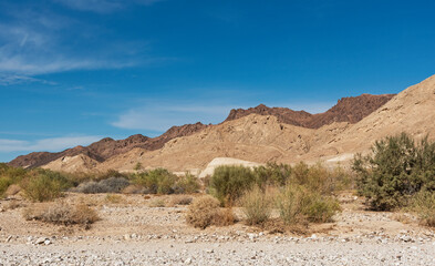 the rocky Nahal Nekarot Stream Bed with the south rim of the makhtesh ramon crater in israel in the background with a variety of desert vegetation in the foreground