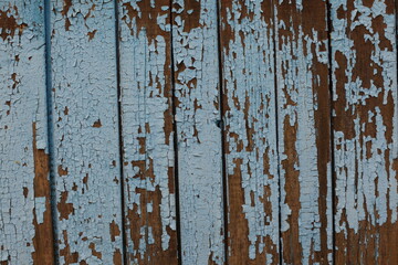 Old wooden background with remnants of old paint pieces on the wood. Texture of old wood, Board with paint