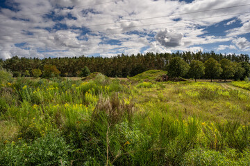 Keltische Fürstengrab bei Rodenbach
