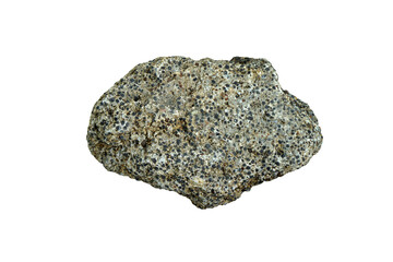 Conglomerate Sedimentary Rock isolated on white background. 