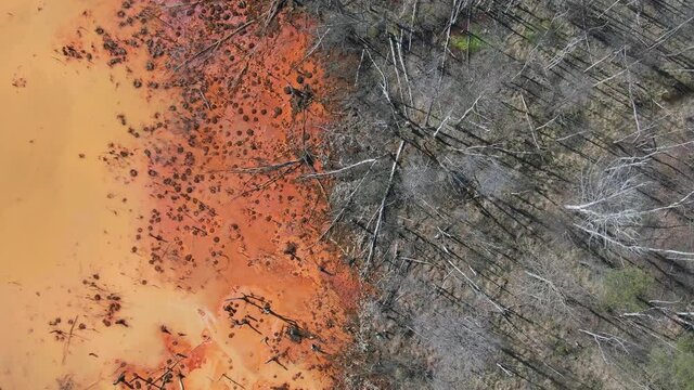 deforestation aerial view. destruction of nature and ecosystem, agriculture industry, chemical pollution. dead forest and red soil. Soil contamination, industrial activity, agricultural chemicals