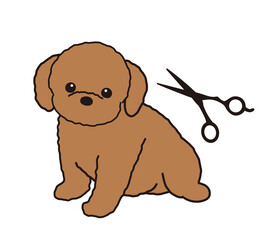 トリミングサロン　トイプードル