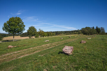 Gallo-r&ouml;misches Gr&auml;berfeld Belginum