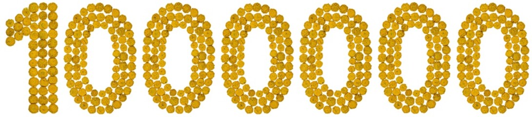 Arabic numeral 1000000, one million, from yellow flowers of tansy, isolated on white background