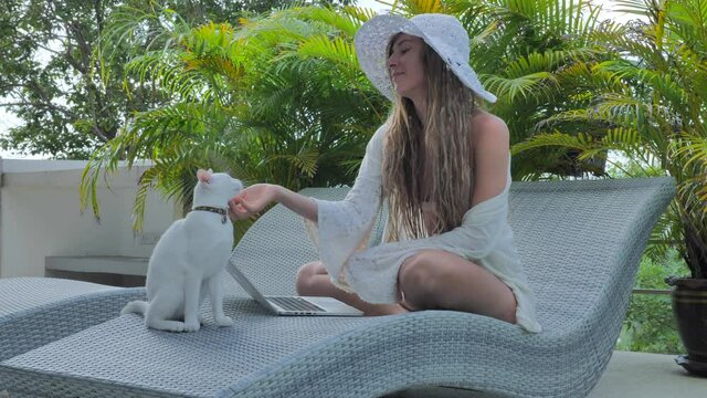 Young boho woman in white with adorable cat working on laptop near villa pool at an tropical island. Freelance outdoor online shopping 