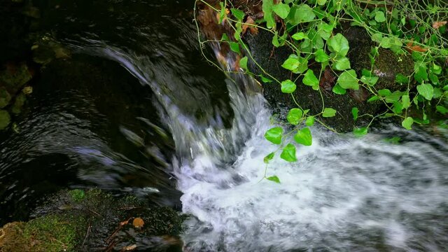 the View from above on waterfall stream between bif stones with Moss and wild  greens . Crystal clear water of nature .Water flowing with foam in the wild nature
