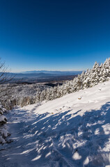 Fototapeta na wymiar Winter scenery on Tateshina