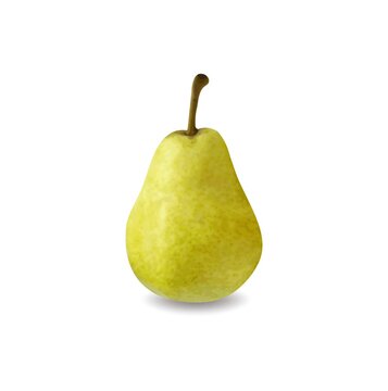 Green pear isolated on white background Vector illustration