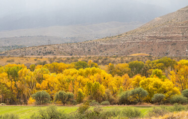 Scenic Verde River Canyon Arizona Landscape in Autumn