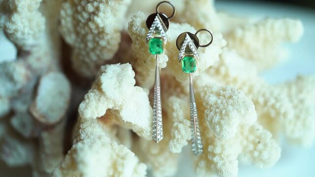luxury gemstone earrings with original coral stand