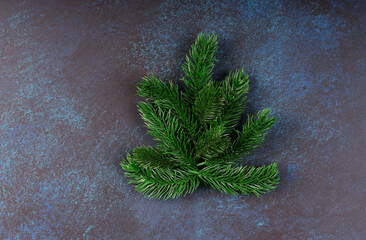 Beautiful Christmas background. Spruce branch.
