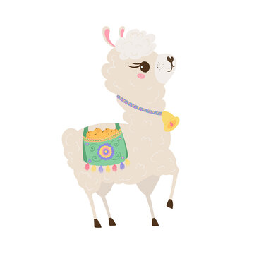 Cute lama with a bell carries a bag of oranges in pastel colors isolated on white background . Funny baby animal. Alpaca for your child's room design. Vector illustration