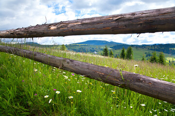 Fototapeta na wymiar Mountain landscape, range of mountains seen through wooden fence, chamomile meadow on the foreground.