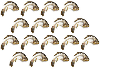 Geometric pattern from fish skeleton that was eaten, leftovers of food. Creative food background.