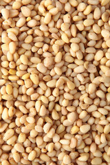 Pine nuts, without shells, in large quantities. Natural product. The view from the top. Copy space.