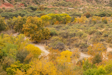 Fototapeta premium Scenic Verde River Canyon Arizona Landscape in Autumn