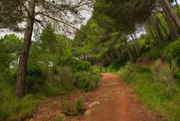 The desert of the palms in benicasim
