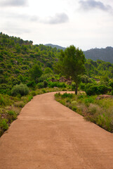 The desert of the palms in benicasim