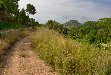 The desert of the palms in benicasim