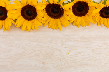 Obraz premium Sunflowers in a row at the top on wooden background