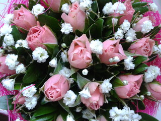 Прекрасные цветы