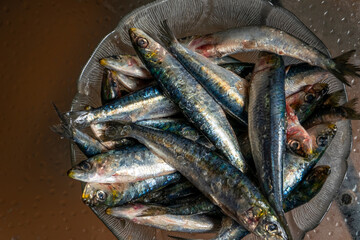 Glass bowl with fresh sardines with a lot of salt prepared for cooking