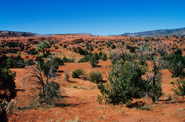 Rocky desert landscape