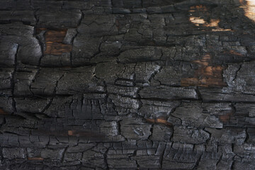 Black wood surface after fire