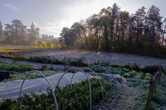 Garden in path of Sandar - Lyon France