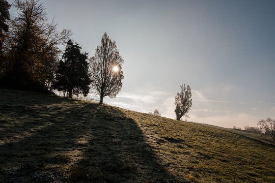 Path of Sandar - Lyon France