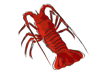 8 991 Spiny Lobster Wall Murals Canvas Prints Stickers Wallsheaven 8 991 Spiny Lobster Wall Murals Canvas Prints Stickers Wallsheaven