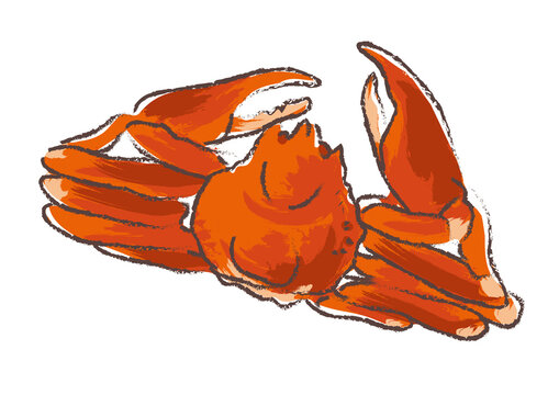 1 2 最適な 紅ズワイガニ 画像 ストック写真 ベクター Adobe Stock