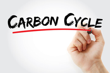 Carbon cycle text with marker, concept background