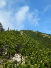 Fototapeta na wymiar Summit cross Ziegelspitz mountain, Ammergau Alps, Germany